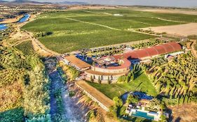 Hotel Bodega Pago del Vicario